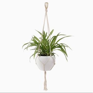 Potey Macrame Plant hangers (2)